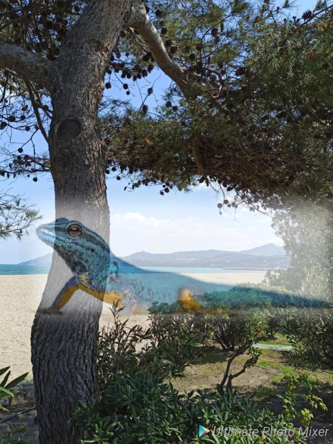 O Gecko Marin T2 Classe Entre Mer Et Village A Pied أرجيليه- سور- مير المظهر الخارجي الصورة